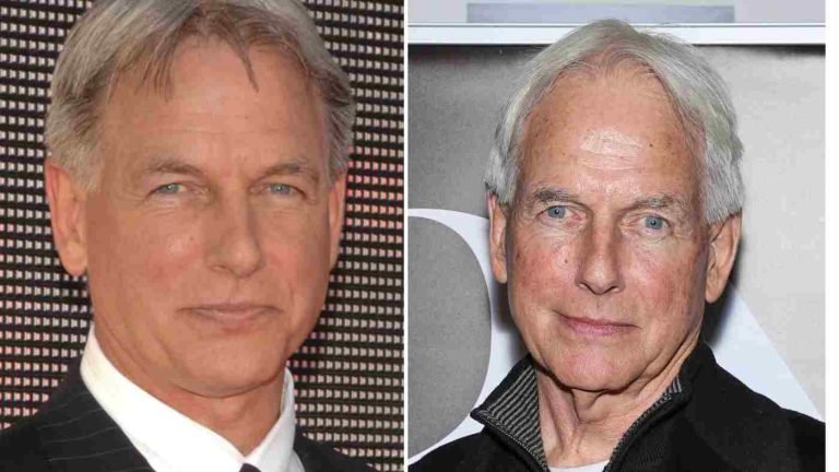 Mark Harmon Net Worth