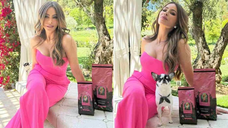 Sofía Vergara Net Worth