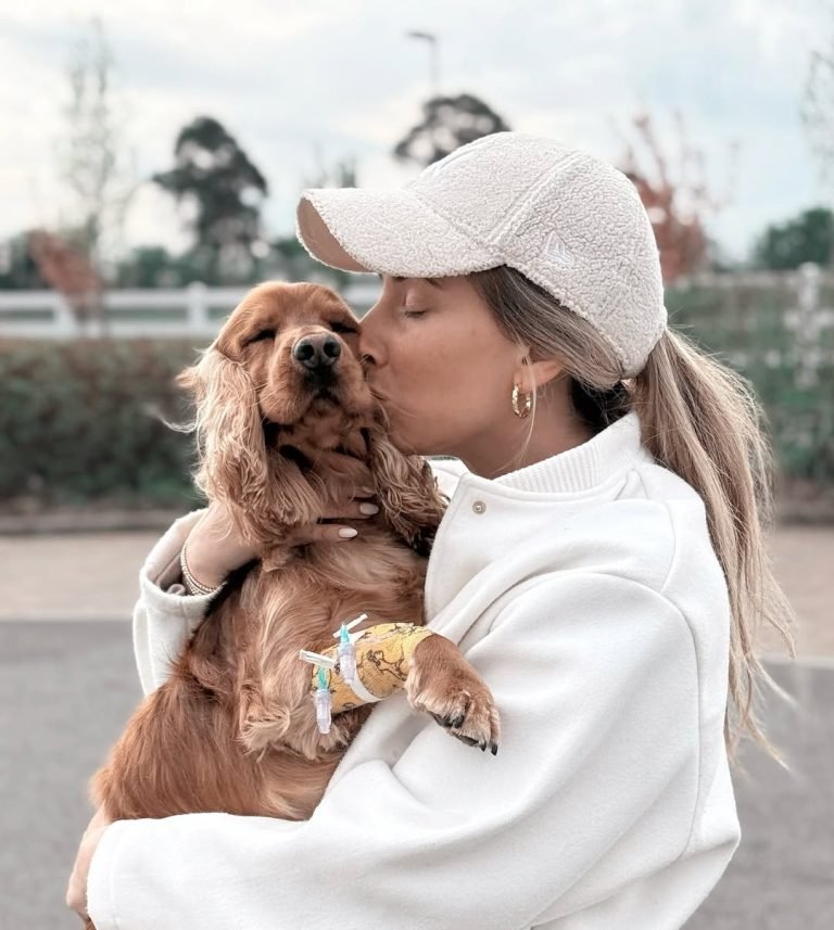 Stacey Solomon Issues Emotional Update on Beloved Pet Teddy Stacey Solomon