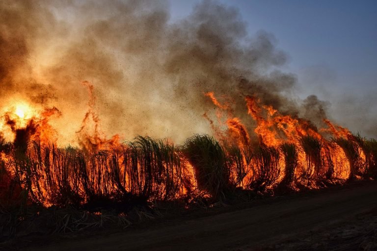 southern france wildfires